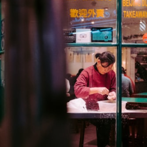 Gourmet Pork Dumplings